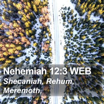Nehemiah 12:3 WEB Bible Verse Image