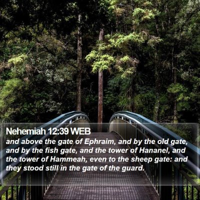 Nehemiah 12:39 WEB Bible Verse Image