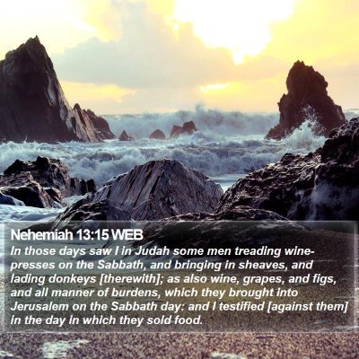Nehemiah 13:15 WEB Bible Verse Image