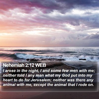 Nehemiah 2:12 WEB Bible Verse Image