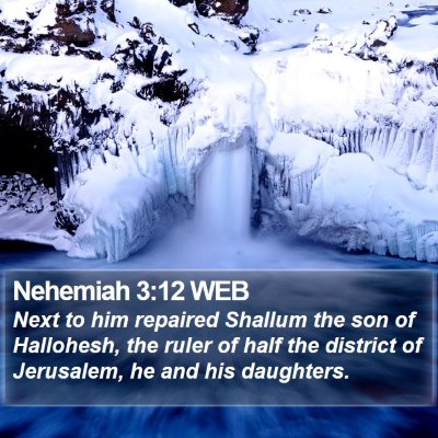 Nehemiah 3:12 WEB Bible Verse Image