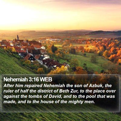 Nehemiah 3:16 WEB Bible Verse Image