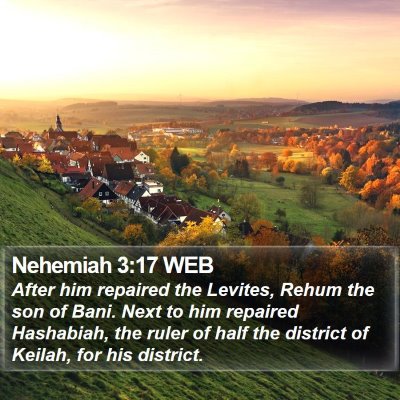 Nehemiah 3:17 WEB Bible Verse Image