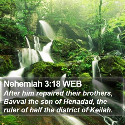 Nehemiah 3:18 WEB Bible Verse Image