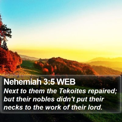 Nehemiah 3:5 WEB Bible Verse Image
