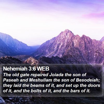 Nehemiah 3:6 WEB Bible Verse Image