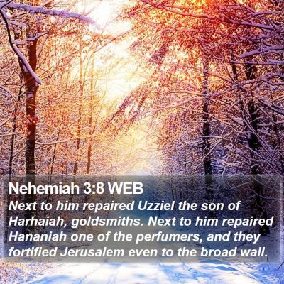 Nehemiah 3:8 WEB Bible Verse Image