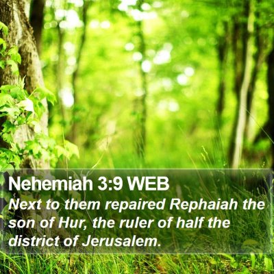 Nehemiah 3:9 WEB Bible Verse Image