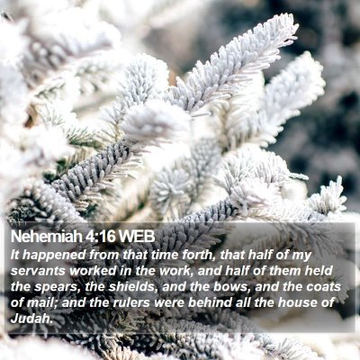 Nehemiah 4:16 WEB Bible Verse Image