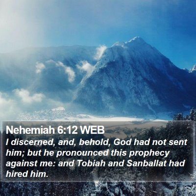 Nehemiah 6:12 WEB Bible Verse Image