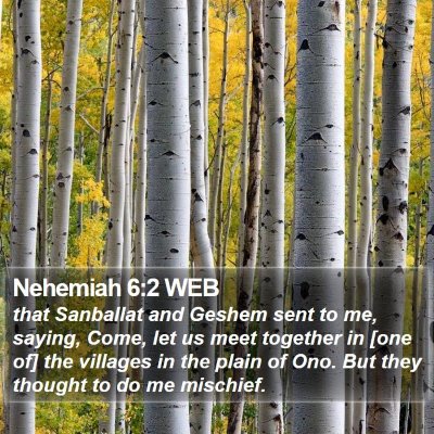 Nehemiah 6:2 WEB Bible Verse Image