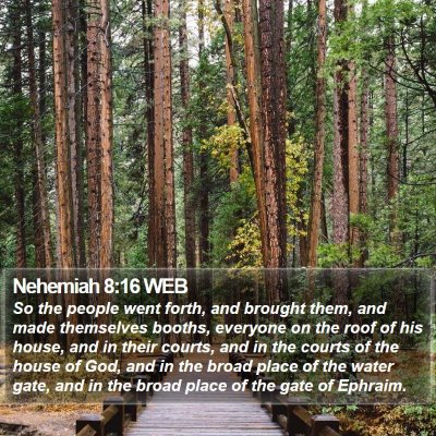 Nehemiah 8:16 WEB Bible Verse Image