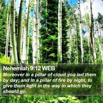 Nehemiah 9:12 WEB Bible Verse Image