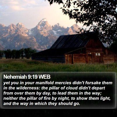 Nehemiah 9:19 WEB Bible Verse Image