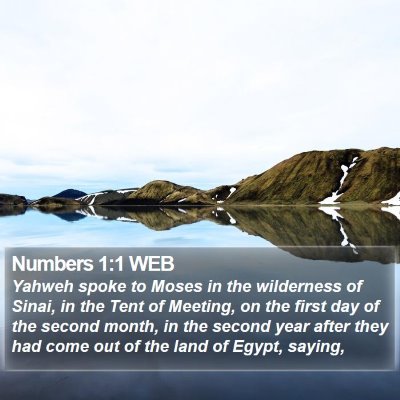 Numbers 1:1 WEB Bible Verse Image