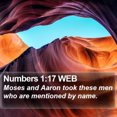 Numbers 1:17 WEB Bible Verse Image
