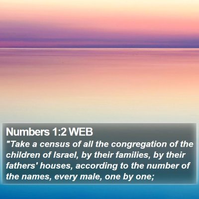 Numbers 1:2 WEB Bible Verse Image