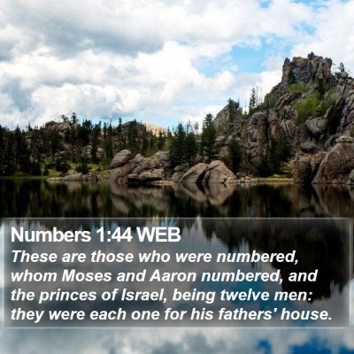 Numbers 1:44 WEB Bible Verse Image