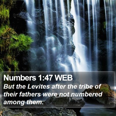 Numbers 1:47 WEB Bible Verse Image