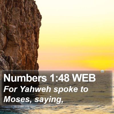 Numbers 1:48 WEB Bible Verse Image