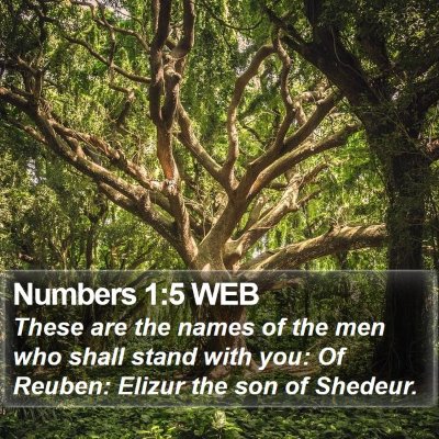 Numbers 1:5 WEB Bible Verse Image