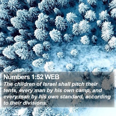 Numbers 1:52 WEB Bible Verse Image