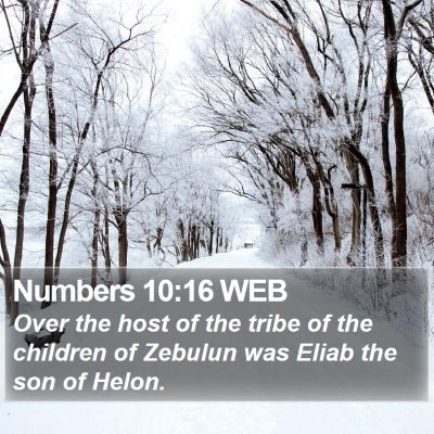 Numbers 10:16 WEB Bible Verse Image
