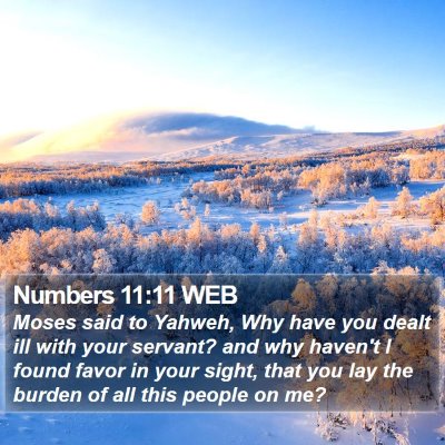 Numbers 11:11 WEB Bible Verse Image