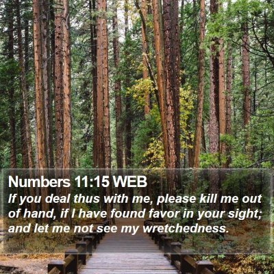 Numbers 11:15 WEB Bible Verse Image