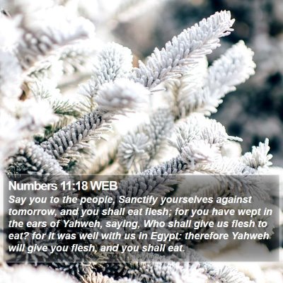 Numbers 11:18 WEB Bible Verse Image