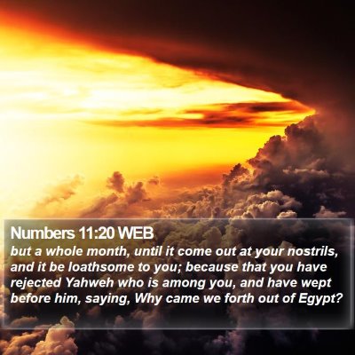 Numbers 11:20 WEB Bible Verse Image