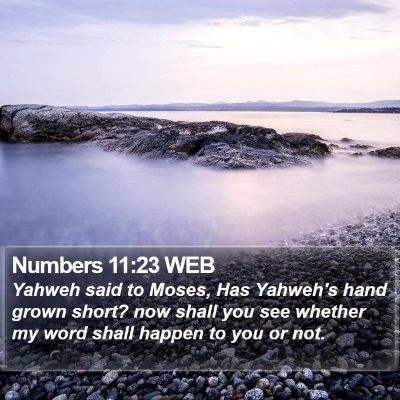 Numbers 11:23 WEB Bible Verse Image
