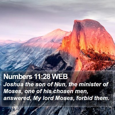 Numbers 11:28 WEB Bible Verse Image