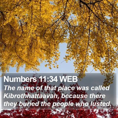 Numbers 11:34 WEB Bible Verse Image