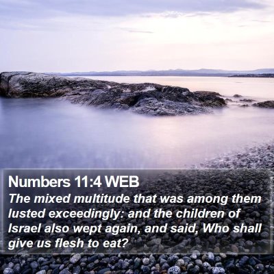 Numbers 11:4 WEB Bible Verse Image