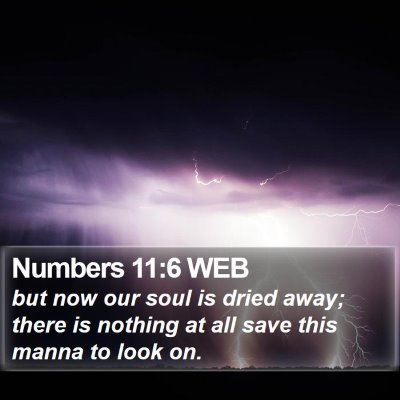 Numbers 11:6 WEB Bible Verse Image