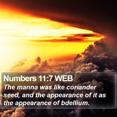 Numbers 11:7 WEB Bible Verse Image