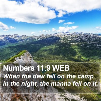 Numbers 11:9 WEB Bible Verse Image
