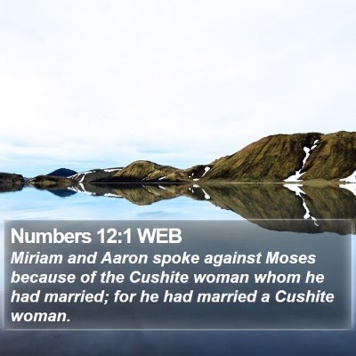 Numbers 12:1 WEB Bible Verse Image