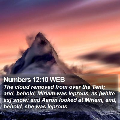 Numbers 12:10 WEB Bible Verse Image