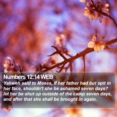 Numbers 12:14 WEB Bible Verse Image