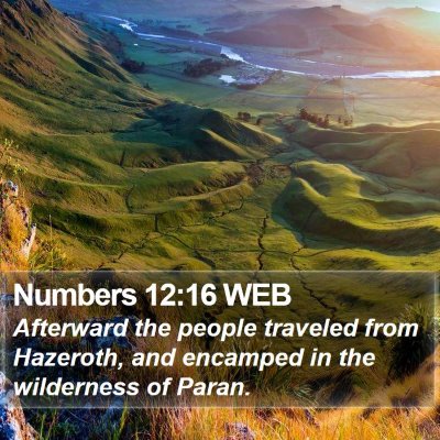 Numbers 12:16 WEB Bible Verse Image