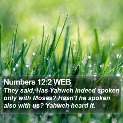 Numbers 12:2 WEB Bible Verse Image