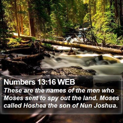 Numbers 13:16 WEB Bible Verse Image