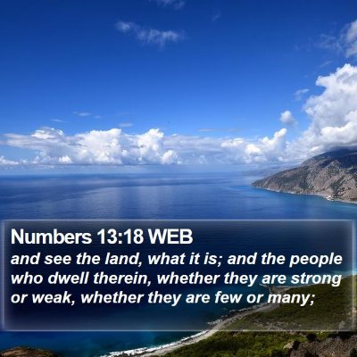 Numbers 13:18 WEB Bible Verse Image