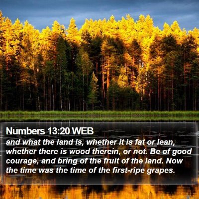Numbers 13:20 WEB Bible Verse Image