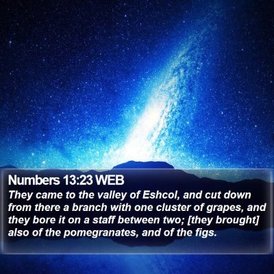 Numbers 13:23 WEB Bible Verse Image