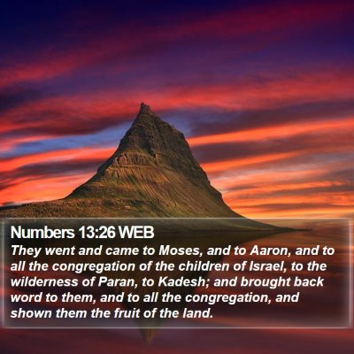Numbers 13:26 WEB Bible Verse Image