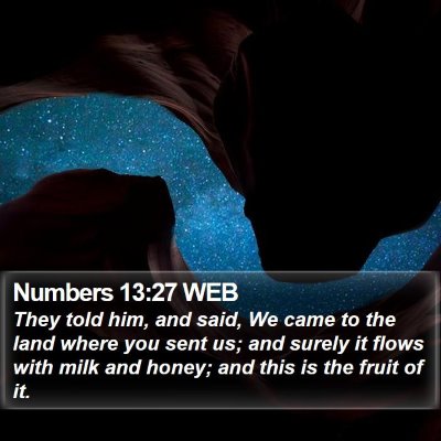 Numbers 13:27 WEB Bible Verse Image