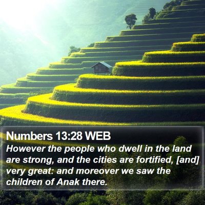 Numbers 13:28 WEB Bible Verse Image